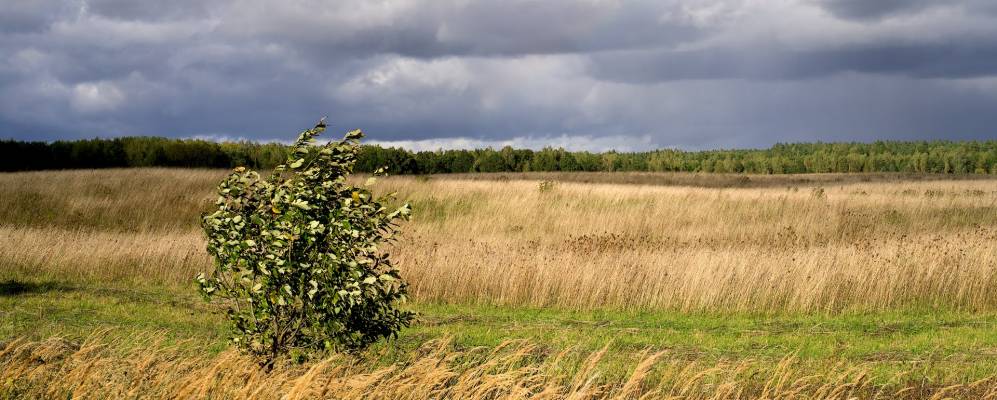 
            Фотография Крючков