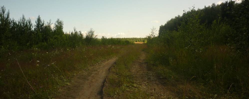 
            Фотография Полтораново