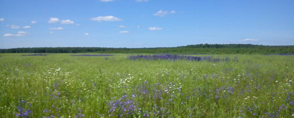 
            Фотография Окатово