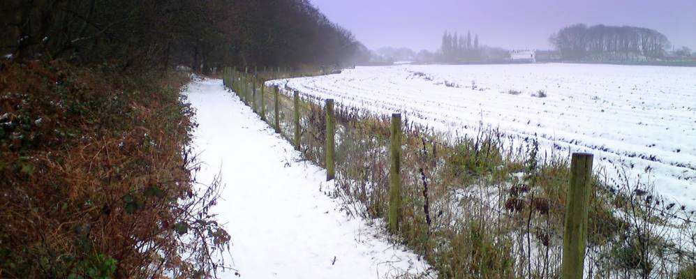 
            Фотография Рэйнфорда