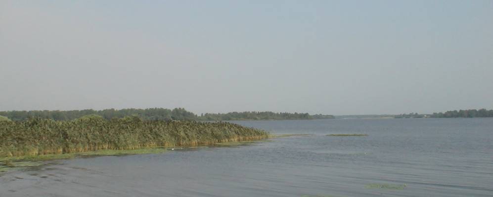 Фотография Добрино