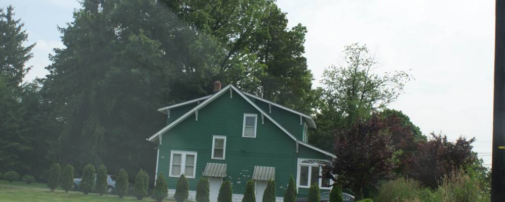 
            Фотография Вайт Хорза