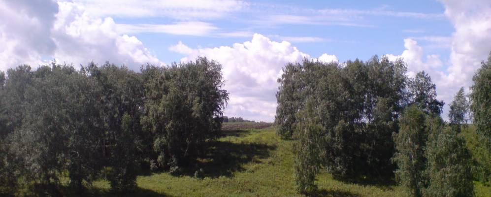 
            Фотография Митино