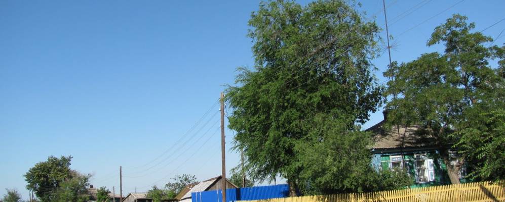 
            Фотография Нижнебезымянского