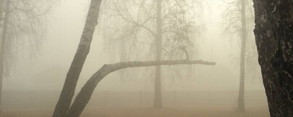 
            Фотография Большеокинского