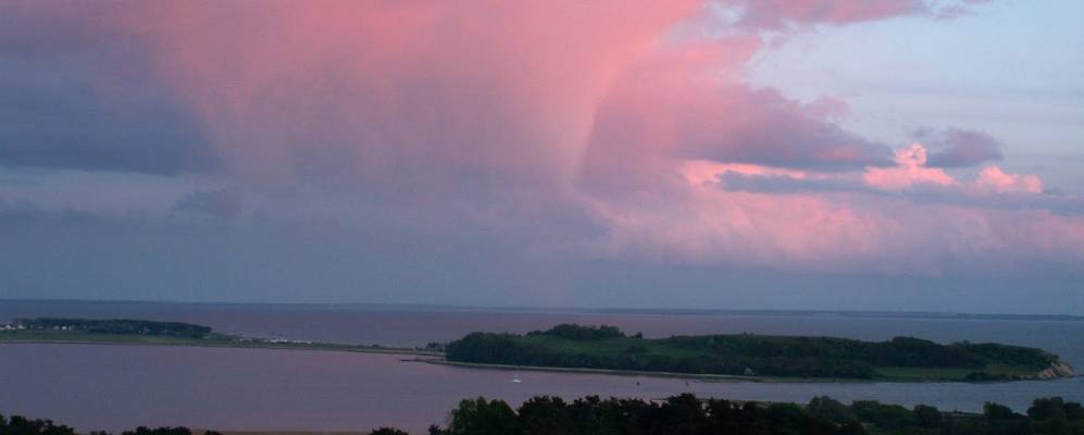 
            Фотография Гросс Циккер