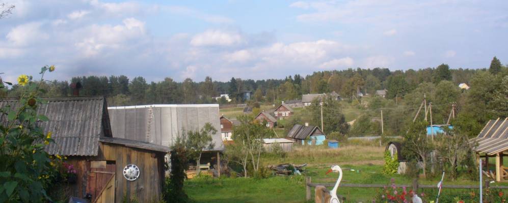 
            Фотография Пестки