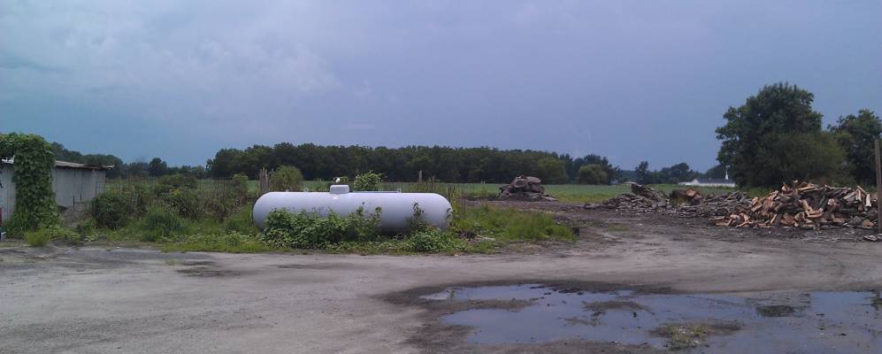 
            Фотография Грайфтона