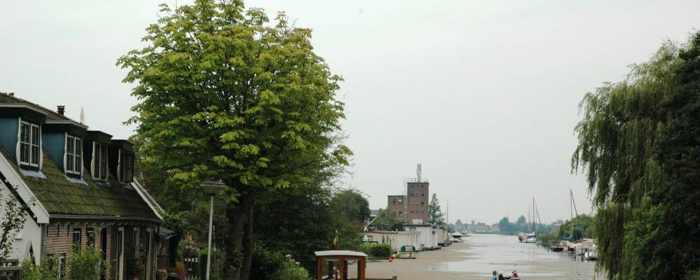 
            Фотография Леимуидена