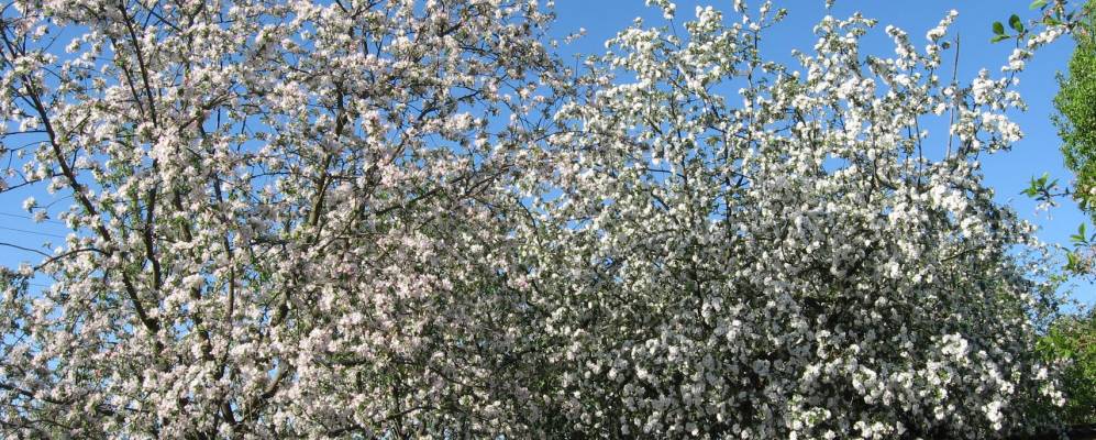 
            Фотография Великие Вильмы