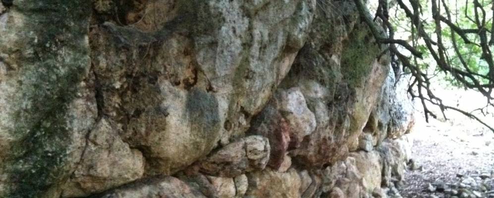 
            Фотография Мария-де-ла-Салуда