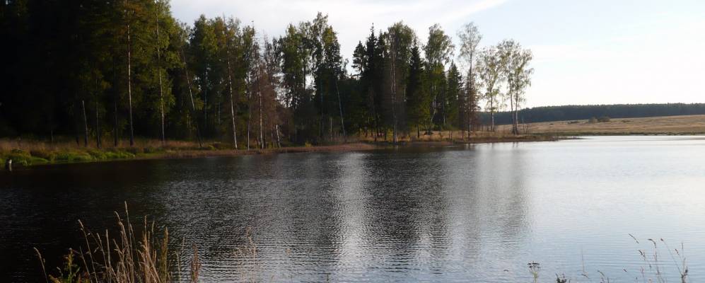 
            Фотография Болдинки