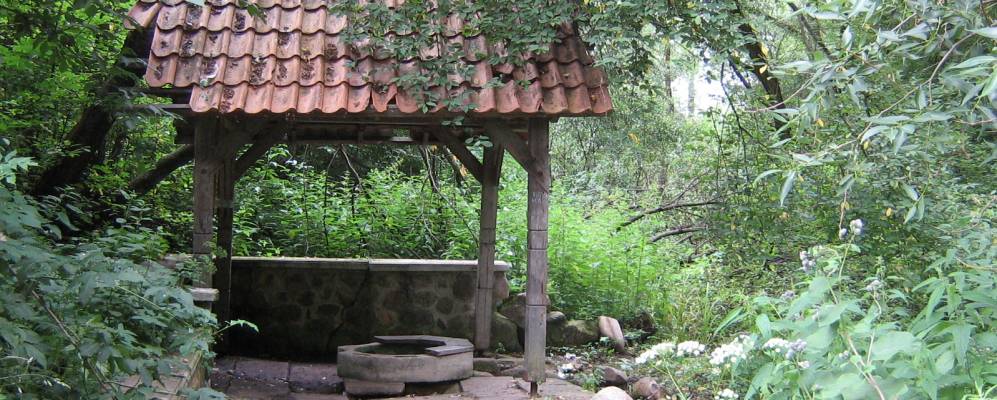 
            Фотография деревни Дудичи