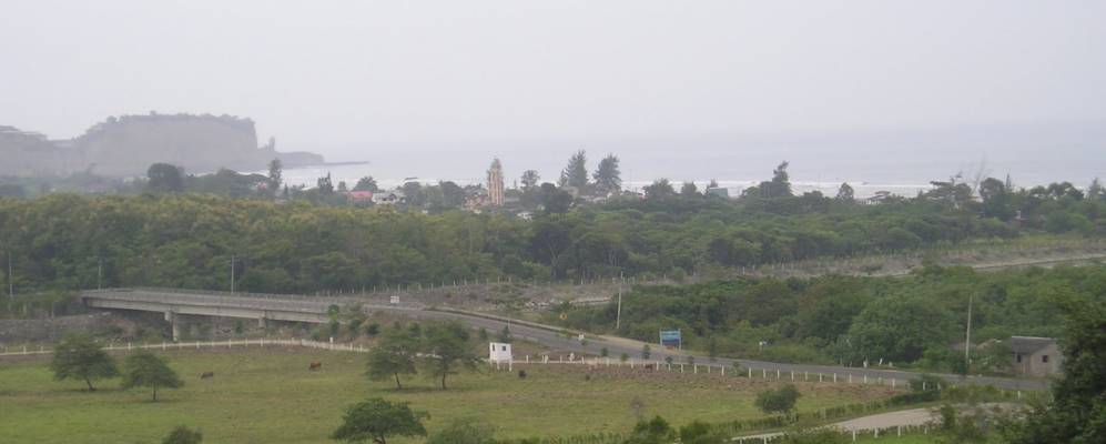 
            Фотография Олон