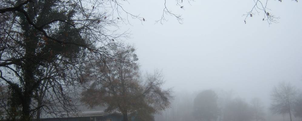 
            Фотография Голден Гроува