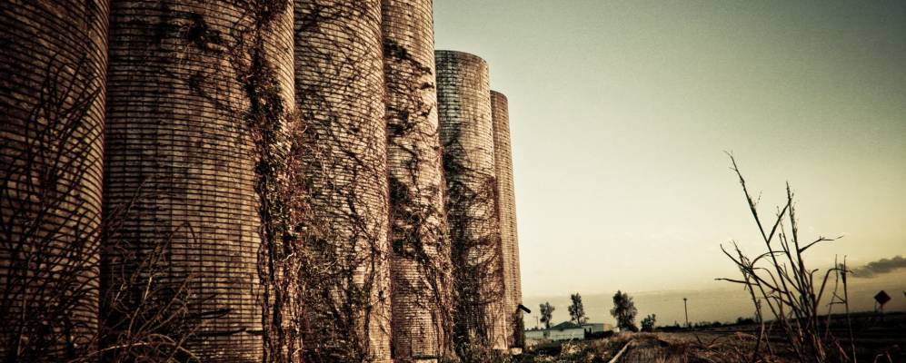 
            Фотография Ридджелай