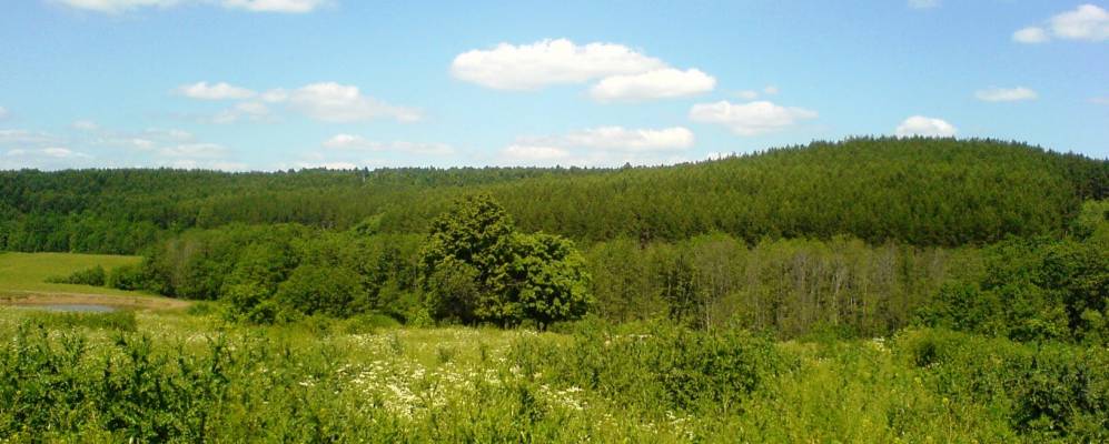 
            Фотография Емельяново