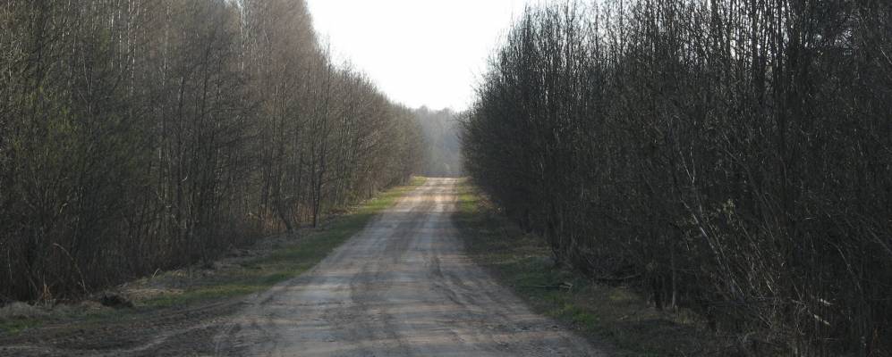 
            Фотография Шумово