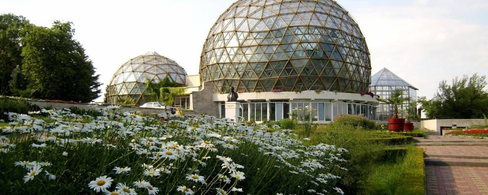 
            Фотография Жибоу