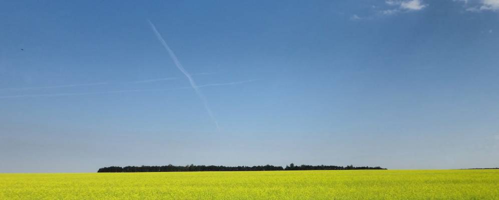 Фотография Ольгино