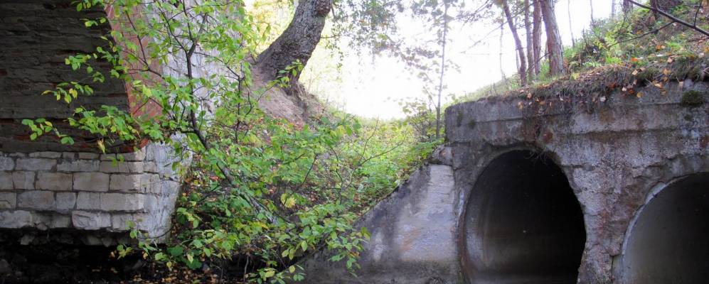 Фотография Чинура