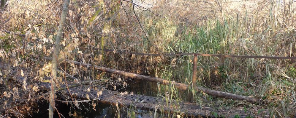 
            Фотография Борца