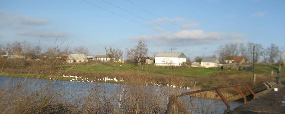 
            Фотография Шумиловки