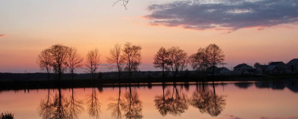 
            Фотография Подлесья