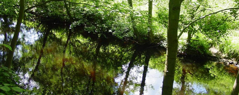 
            Фотография Патели Бриджа