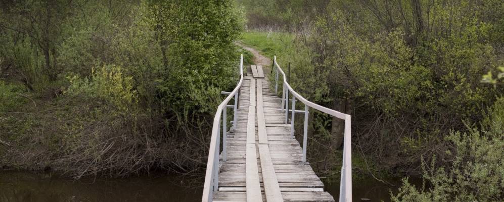 Фотография деревни Дубняки