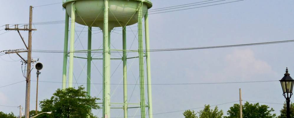 
            Фотография Бартлетта