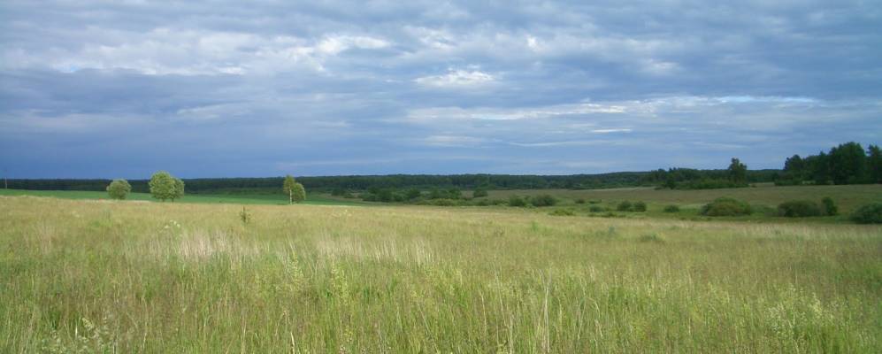 Фотография Петушков