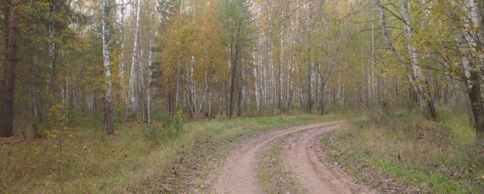 Фотография Корытинки