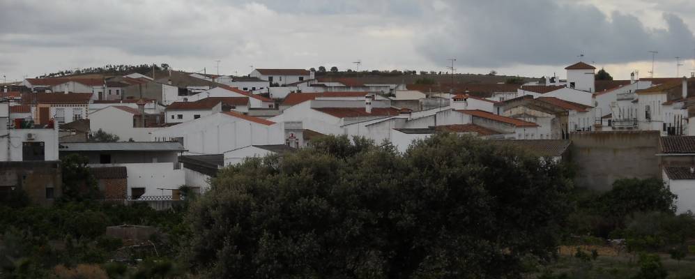 
            Фотография Челес