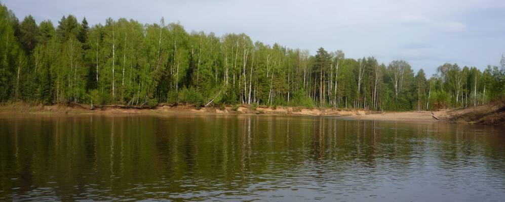 
            Фотография Прудовицы