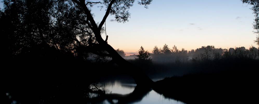 Фотография Боровой