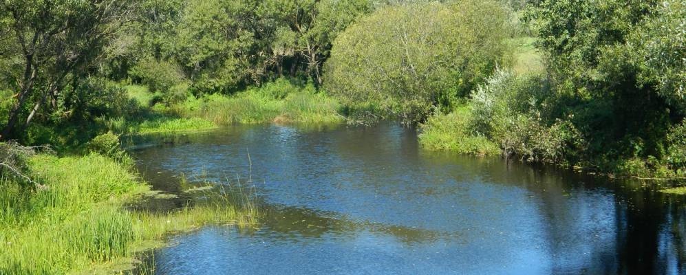 
            Фотография Мосеевки