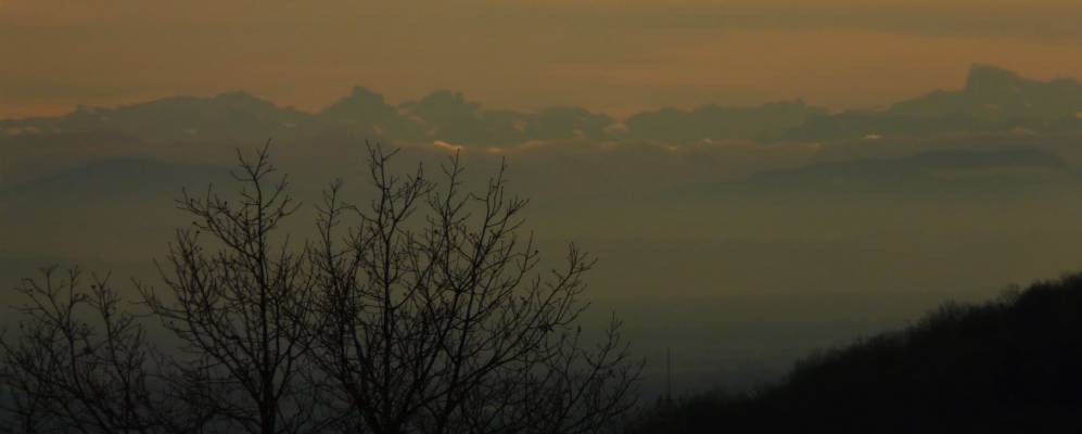 
            Фотография Озенбах