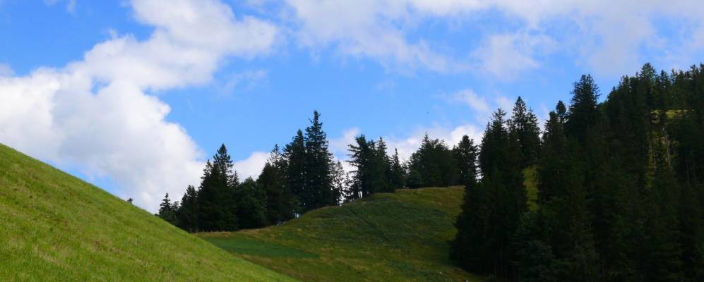 
            Фотография Гуггисберга