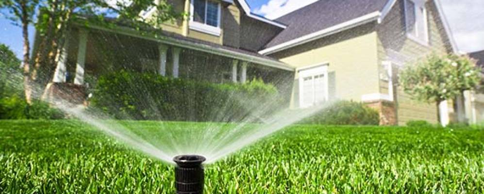 
            Фотография Мичуринца