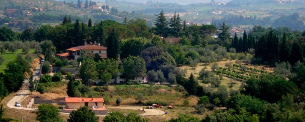 
            Фотография Грассины