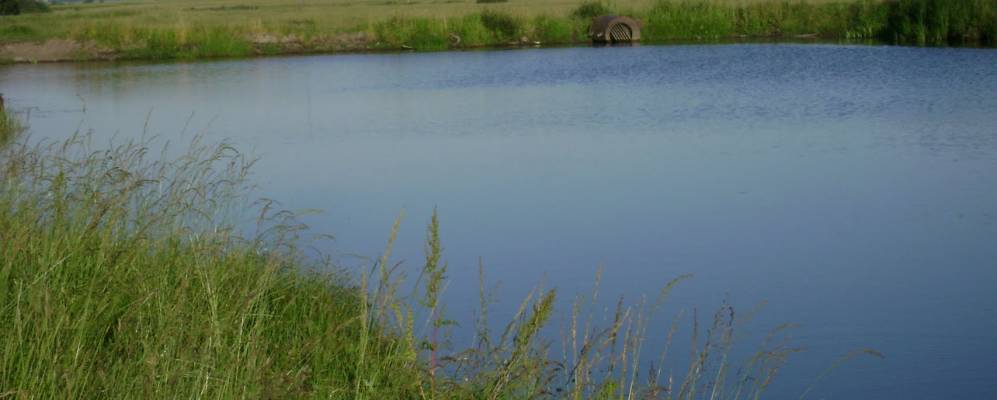 
            Фотография Мощон