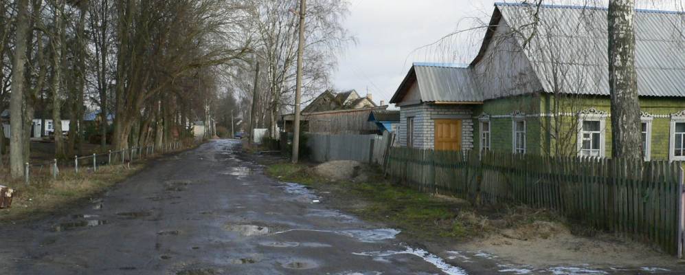 
            Фотография Бордовичей