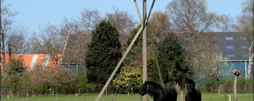 
            Фотография Де-Бюлта