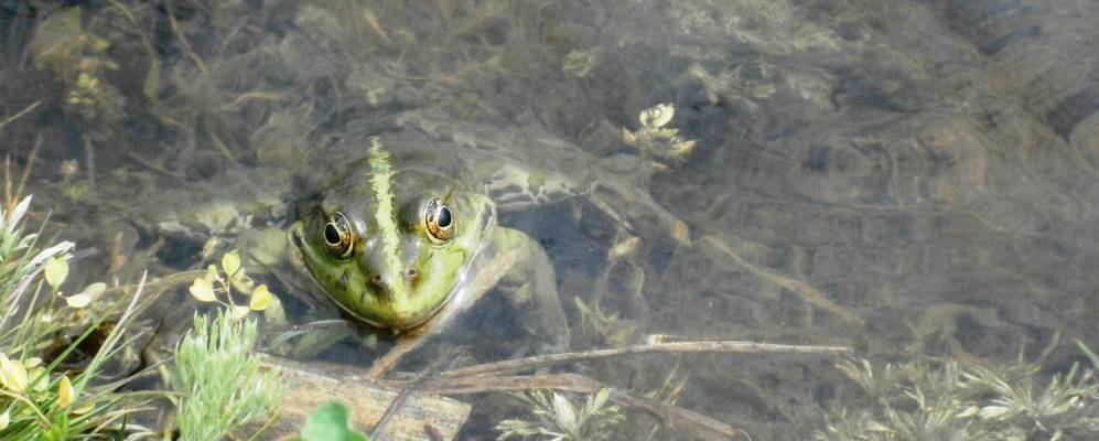 
            Фотография Ковыльного