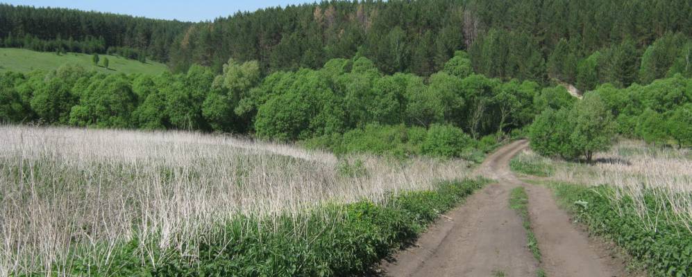 
            Фотография Пустыни