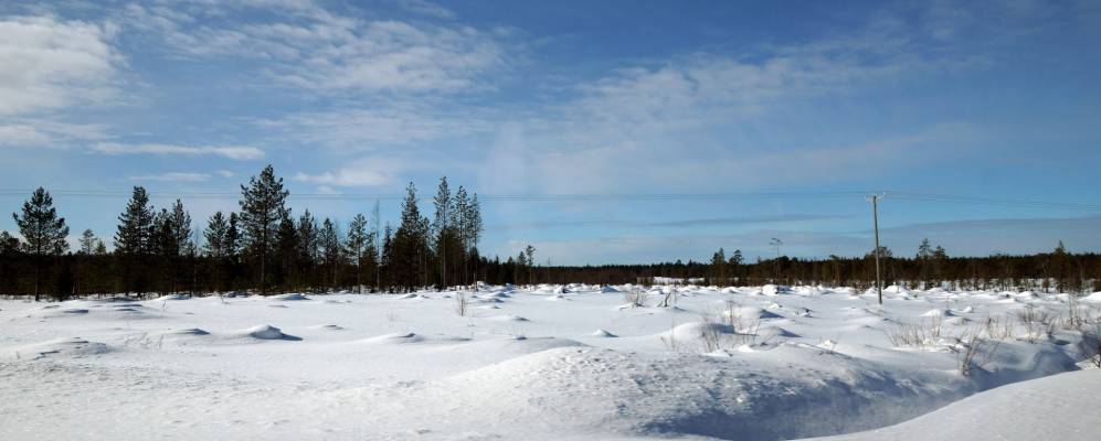 
            Фотография Кэуля