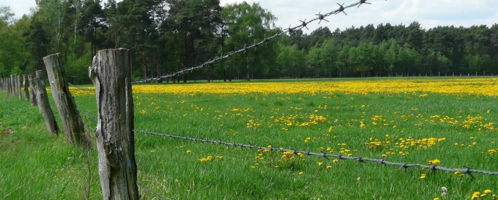 
            Фотография Адельхайдсдорфа