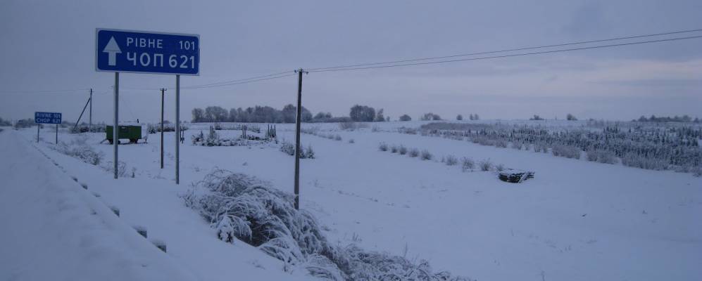 
            Фотография Кущового