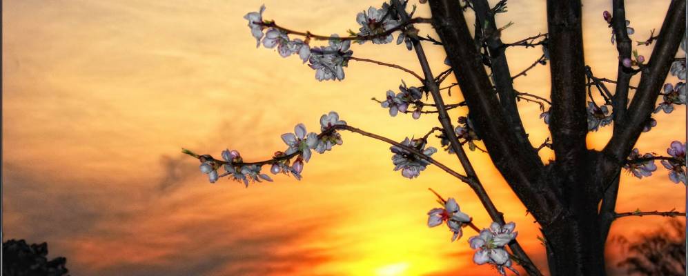 
            Фотография Хеппенхайм-на-Бергштрассе